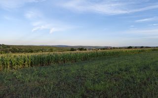 Teren cu destinaţie grădină com. Budești, Mun. Chişinău - Poză 4