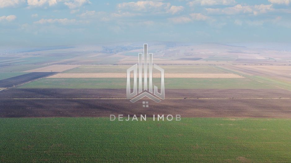 5 Ha | Teren extravilan | Langa Fabrica Reci - Poză 4