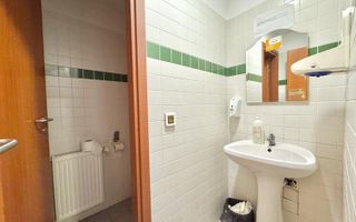 Închiriere Spațiu Comercial Premium, 240 mp, Bd. Anastasie Panu, Iași - Poză 11