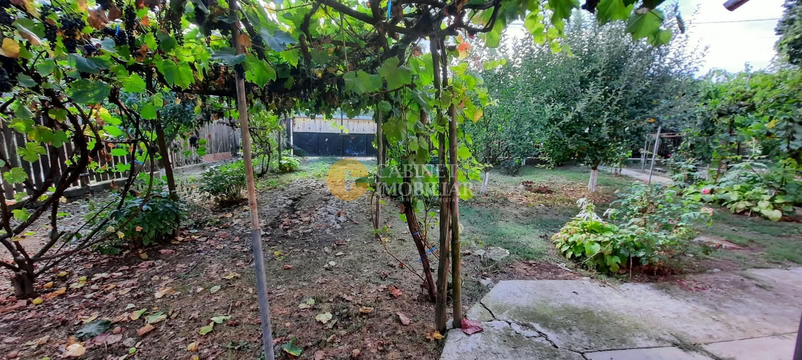 🏡 CASĂ BĂTRÂNEASCĂ LOCUIBILĂ DE VÂNZARE – TRIFEȘTI, IAȘI 🏡 - Poză 8