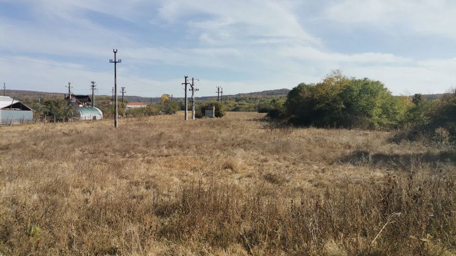 Vanzare teren arabil 22 Ha, plan, Arges, Moraresti - Poză 3