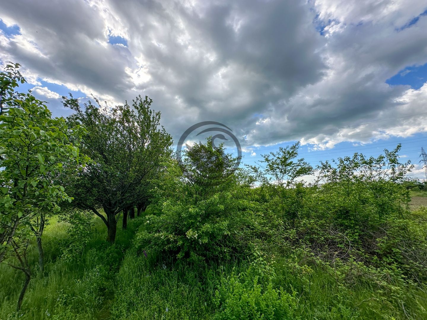 Teren de vanzare | 3.600mp | Valeni de Munte, Prahova | Comision 0% - Poză 7