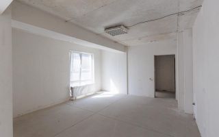 Vânzare, apartament, 1 cameră, strada Calea Ieşilor, Sculeni - Poză 8