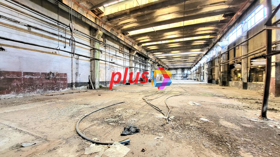 Hala - 2000 mp  # plus-imo.ro - Poză 5