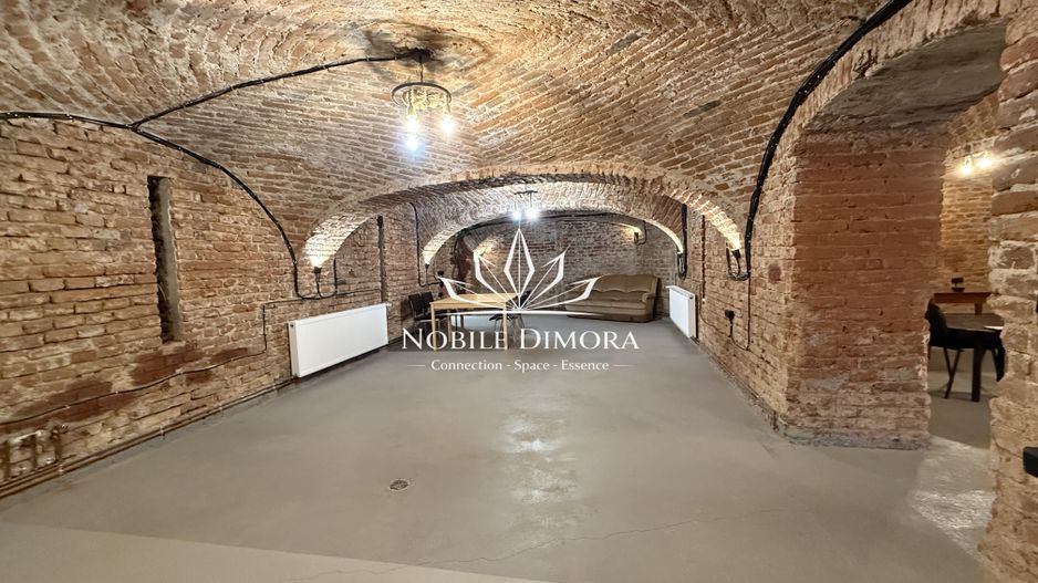 SAD - Spatiu comercial central de 160mp in Arad - ideal: crama, cafenea, magazin - Poză 12