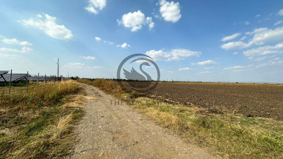 Teren extravilan de vanzare | 9882mp | Berceni - Prahova | Comision 0% - Poză 6