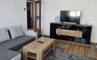 Apartament 2 camere Parc Carol-Viilor - Poză 2