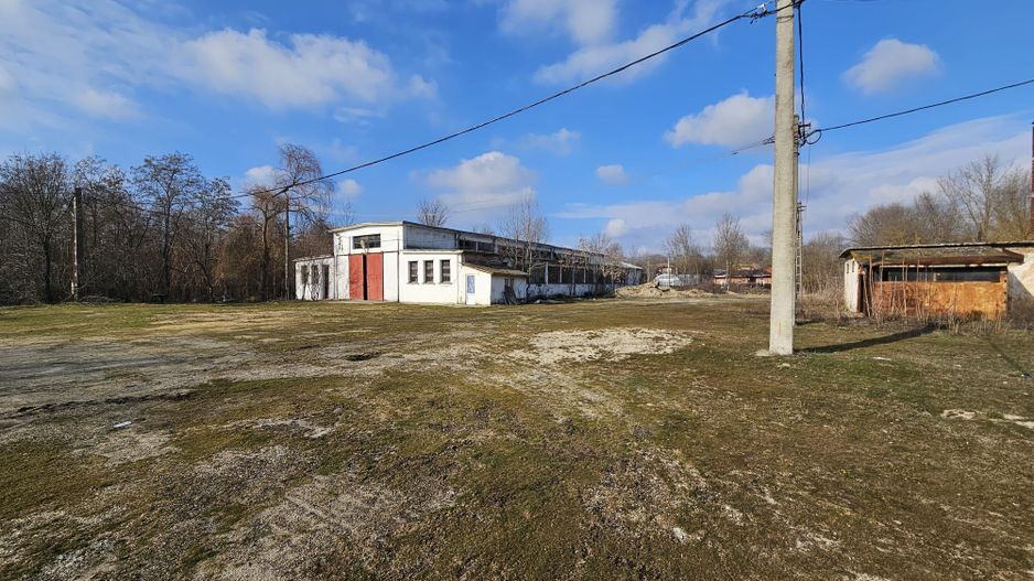 Vanzare amplasament industrial-servicii Tatarasti, Teleorman - Poză 14