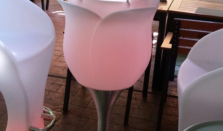 Restaurant de prestigiu cu 30 ani de traditie Parcul Carol - Poză 10