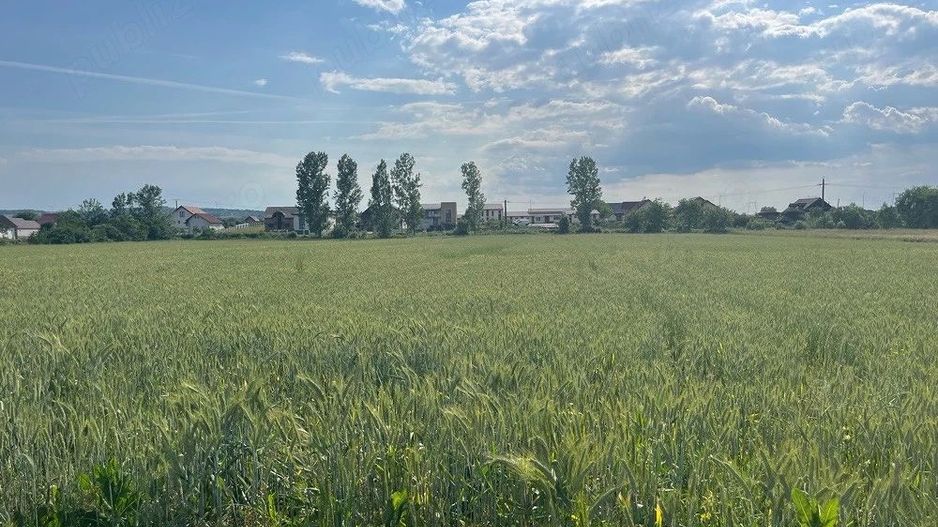 🏡 TEREN INTRAVILAN DE VÂNZARE – PIANU DE JOS, ALBA | 1.450 MP - Poză 3