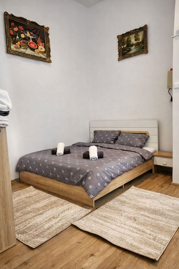Apartament 1 Camera De Inchiriat | Ultracentral | Piata Unirii | UMF - Poză 1
