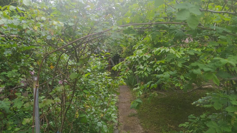 Liniște și Confort Aproape de Centru - Poză 8