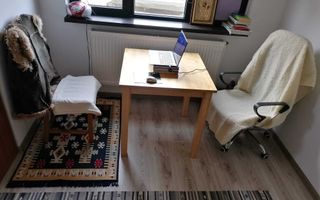 Garsonieră, 30 mp, et.1/3, Parcul Carol - București - Poză 3