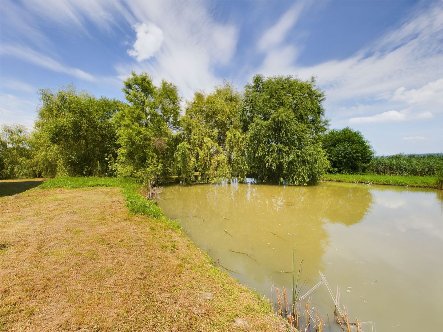 Moară istorică cu teren și luciu de apă în Aldești - Poză 3