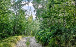 Casa,anexe si14.328 mp teren partial intravilan, com. Bulz, jud. Bihor - Poză 5