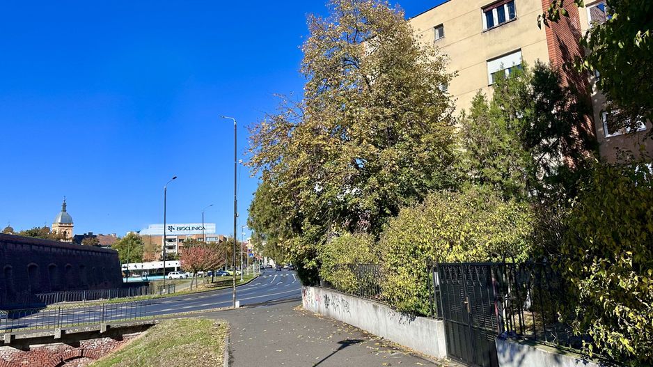 Apartament de 4 camere de vânzare cu vedere spre Punctele Cardinale - Poză 3