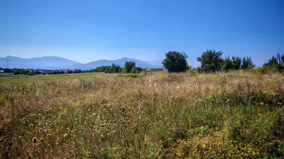 Teren intravilan,447 mp,SANPETRU iesirea spre BOD, utilitati. - Poză 2