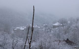 Teren cu izvor de apă minerală  Dangești, Punctul Valea Mare - Poză 11