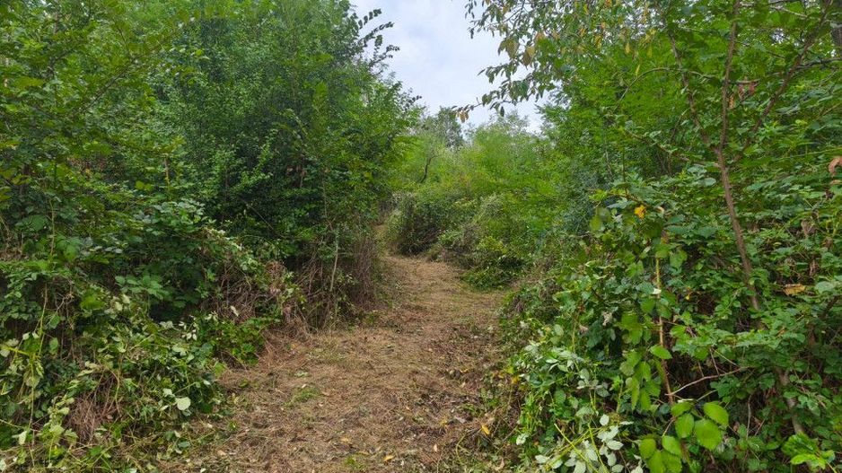 Teren intravilan Mosoaia - Hintesti - Poză 2