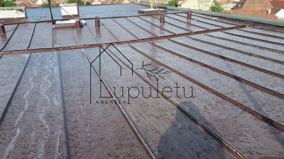 Apartament de Vânzare | 2 camere | 55 MPU | Cisnădie - Poză 10