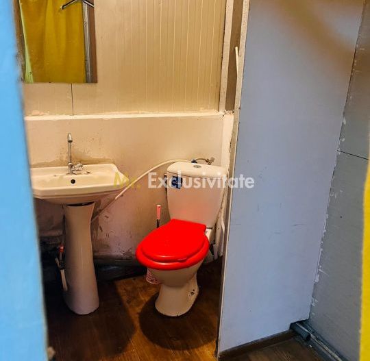 Spatiu comercial stradal, pozitie strategica – N. Balcescu, zona Piata Centrala - Poză 16