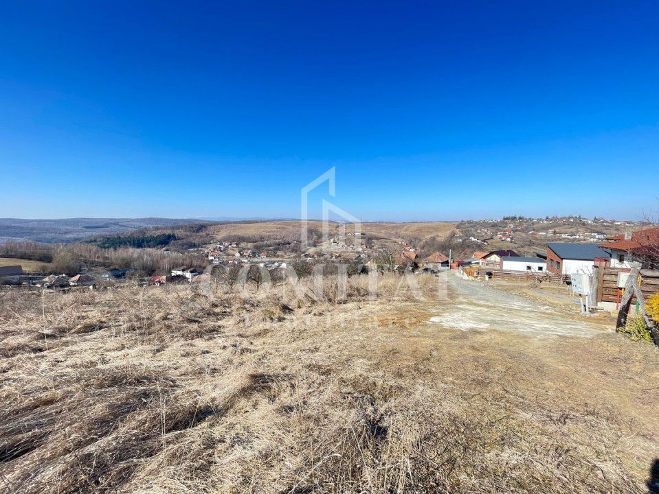 Teren cu potential de investitie 2430 mp si drum de acces - Poză 1