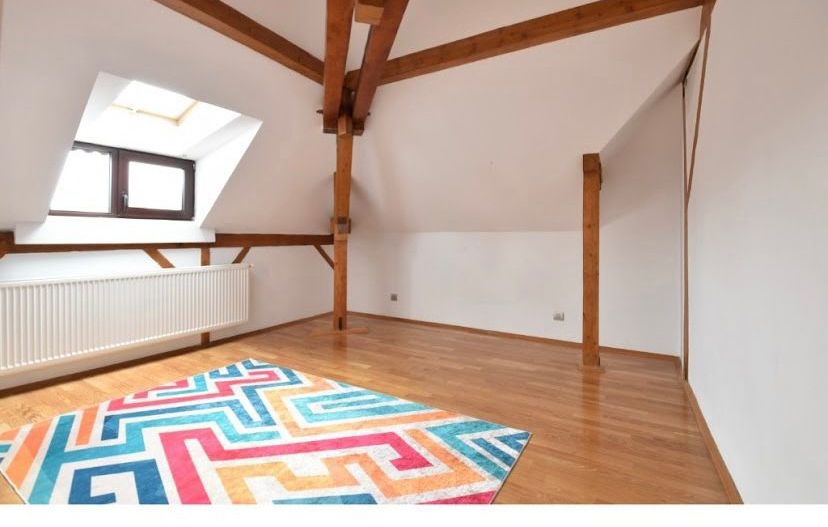 Arcul de Triumf | 3 Camere | Mansarda | Pet friendly - Poză 7