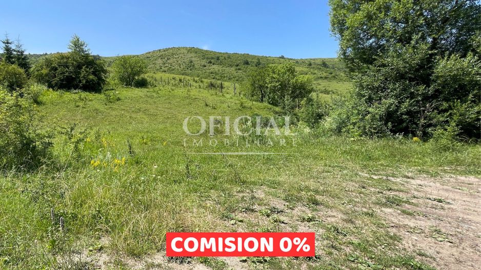 Comision 0% Teren | Inravilan | 900 Mp | Drum acces | Zona Sf. Ion - Poză 1