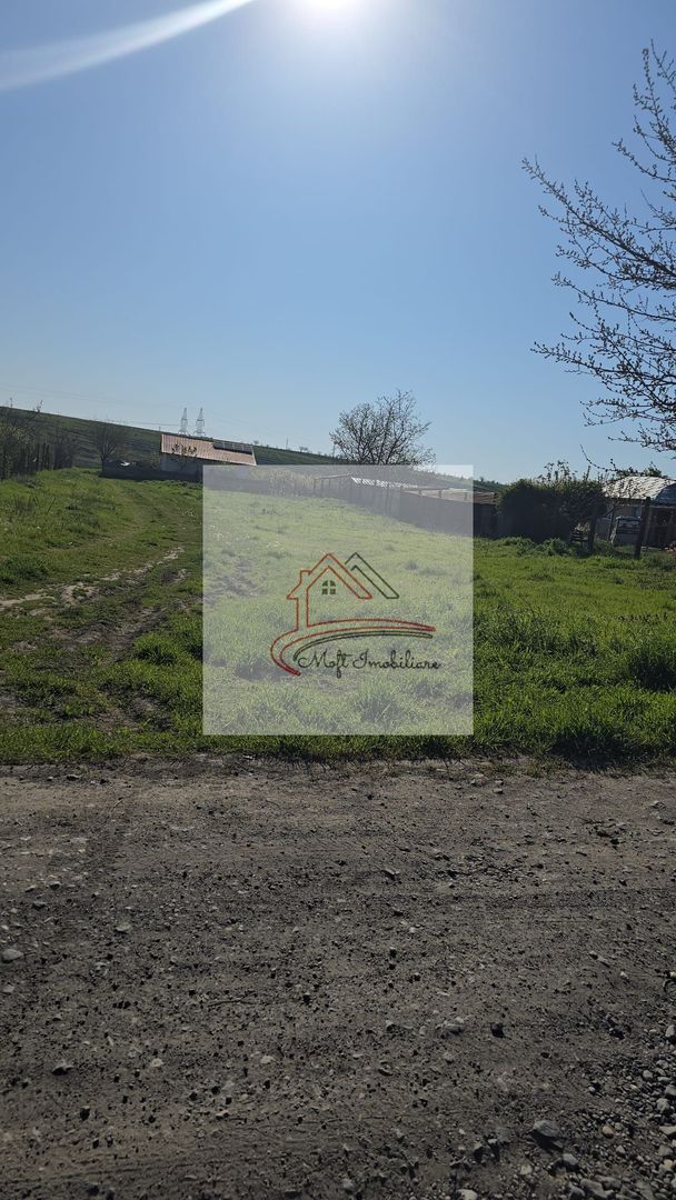 TEREN EXTRAVILAN-BALTAG - Poză 3