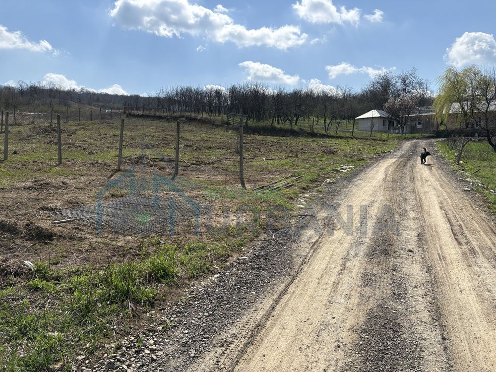 Terenuri intravilan în satul Vladiceni, comuna Tomești - Poză 2