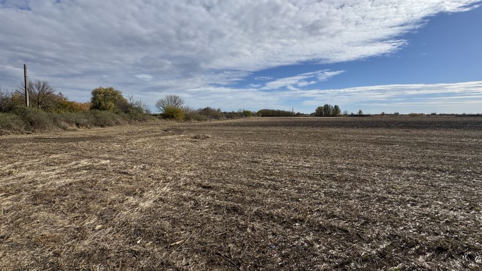 Vand Teren Extravilan Biled(zona industriala) 25.000mp,F.S la DN6 - Poză 5