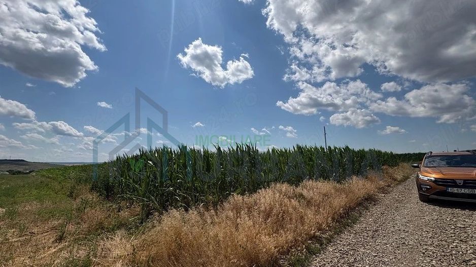 Teren Intravilan de Vanzare in Letcani, Judetul Iasi - 3.684 mp - Poză 1