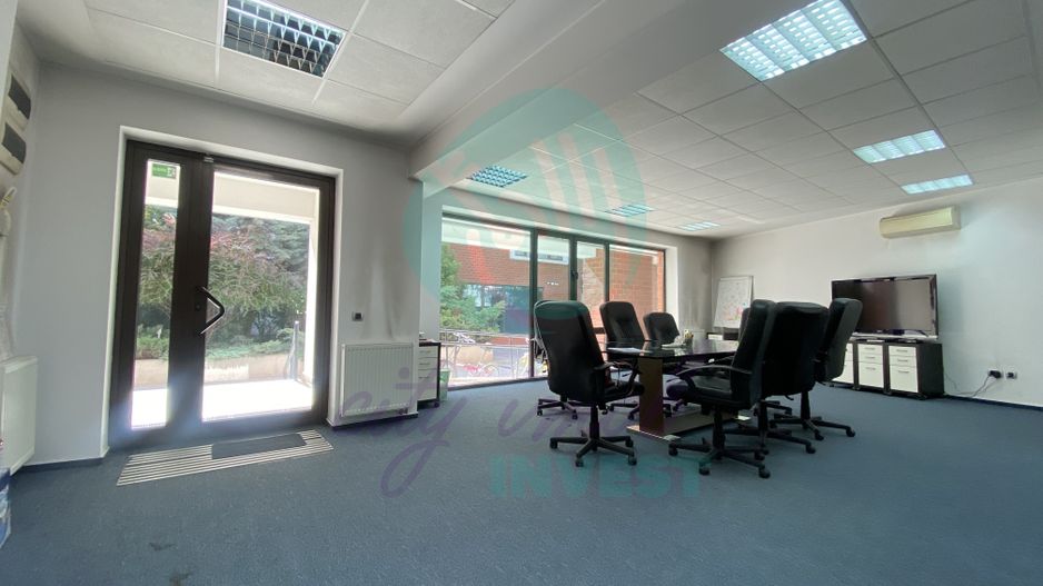 Spații de Birouri Moderne, Cișmigiu - Poză 10