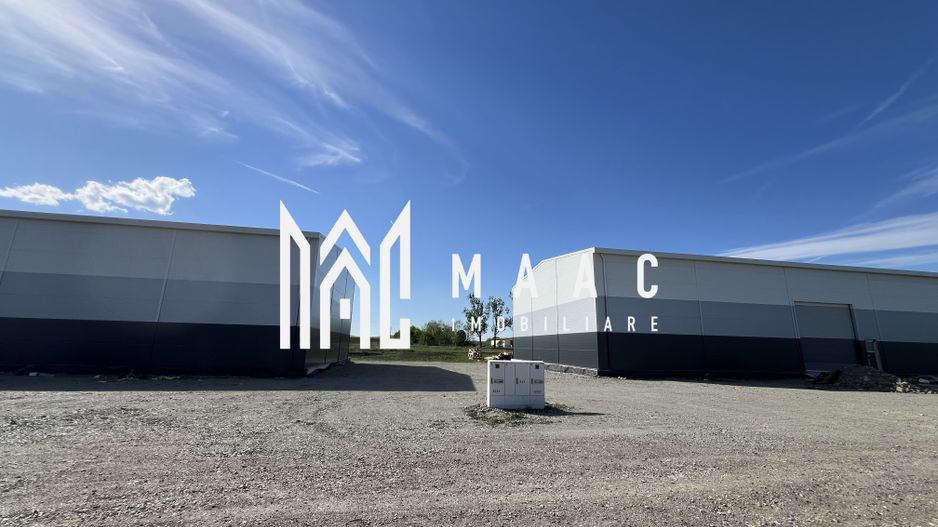 Hală de vânzare  I Cu Utilități I Sibiu Vest I Dezvoltator - Poză 7