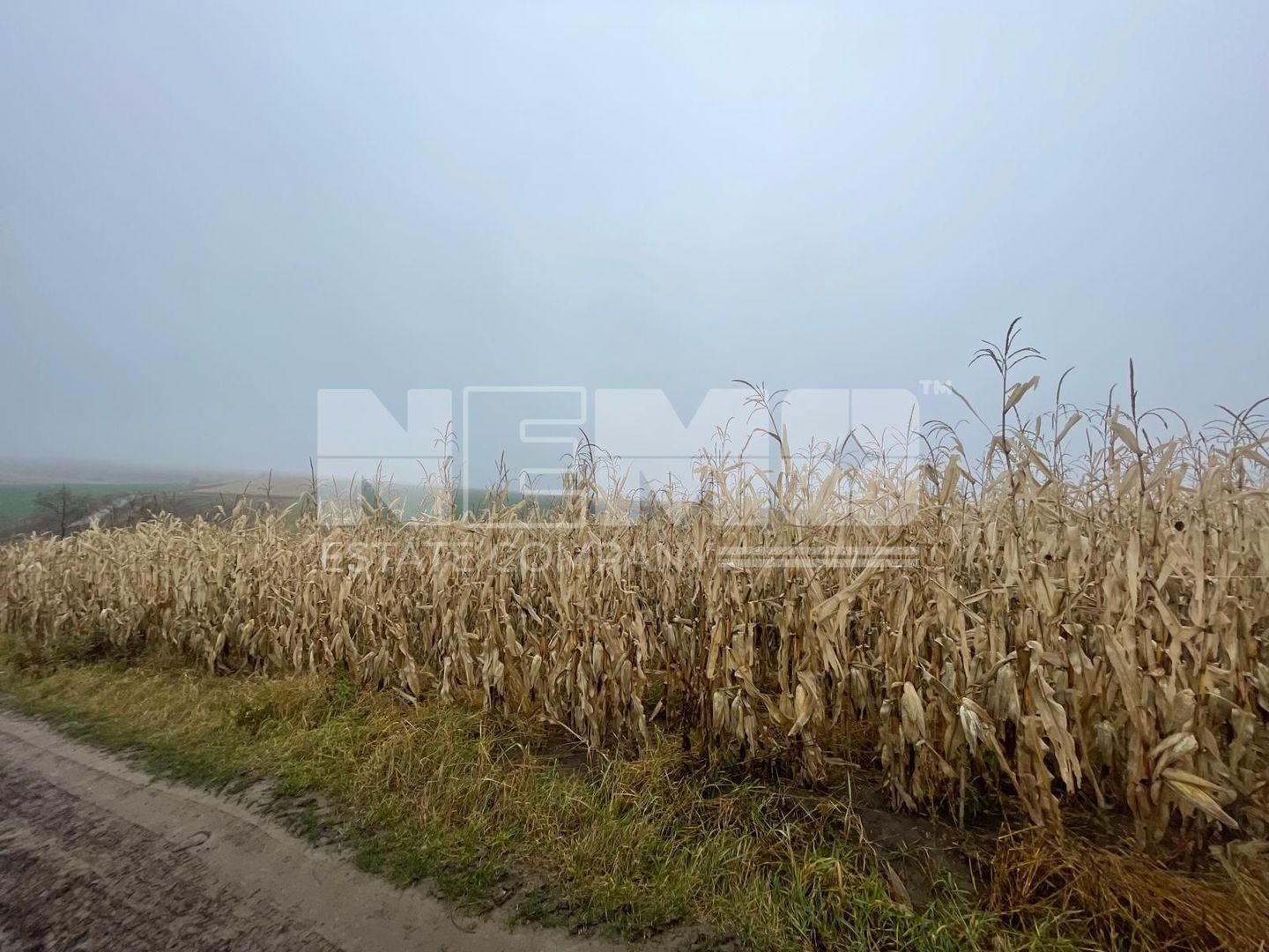 TEREN EXTRAVILAN | DOUA PARCELE 2.84 HA| IDEAL AGRICOL | DARMANESTI - Poză 21