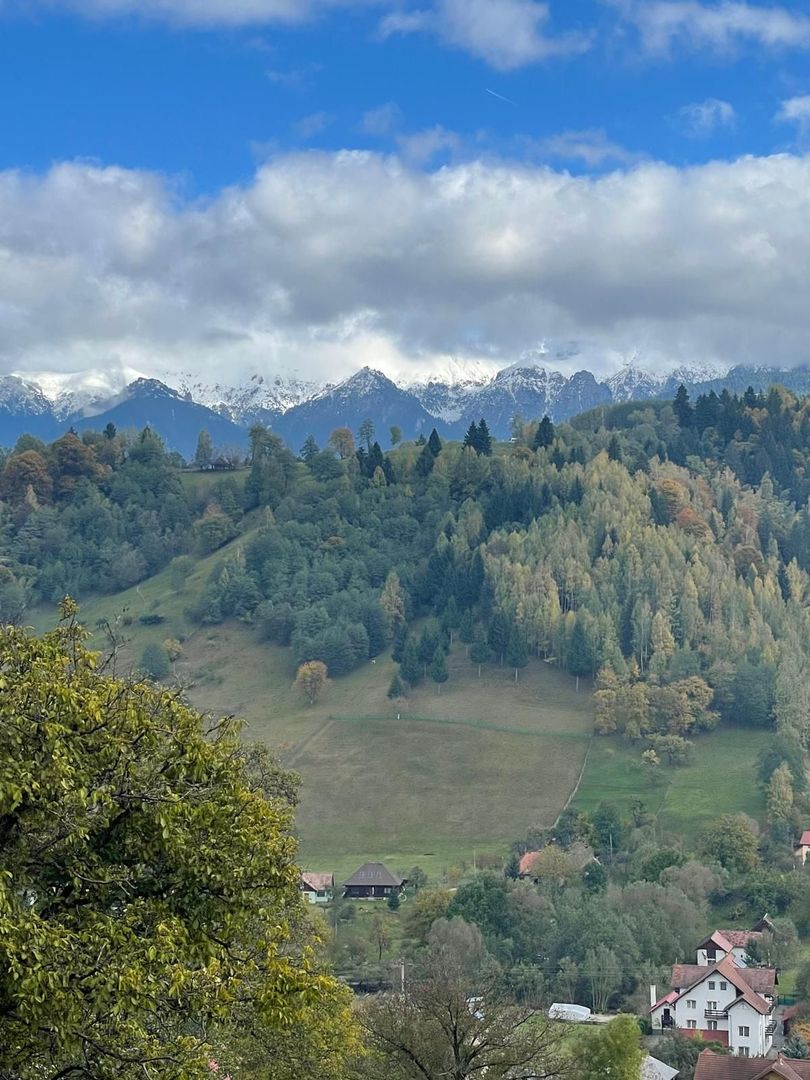 Teren extravilan cu priveliste catre Bucegi – Moieciu de Jos 4.700 mp - Poză 5