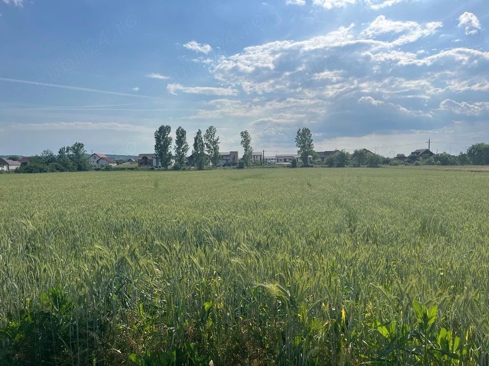 🏡 TEREN INTRAVILAN DE VÂNZARE – PIANU DE JOS, ALBA | 1.450 MP - Poză 3