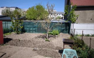 Casa 1 camera | Gradina 120 MP | Renovata | Lazaret - Poză 6