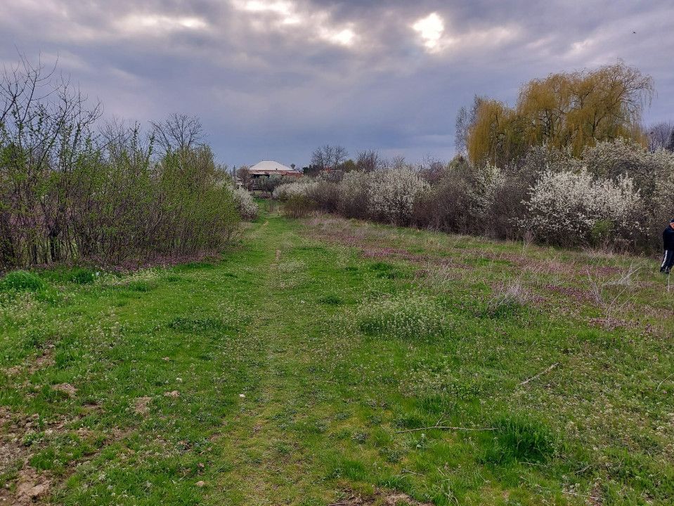 Teren Topoloveni - 3670 mp - langa padure, aproape de Centrul orasului  - Poză 1
