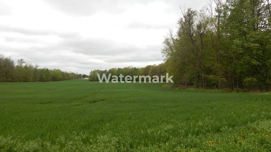 Teren in zona buna de vanzare - Poză 3