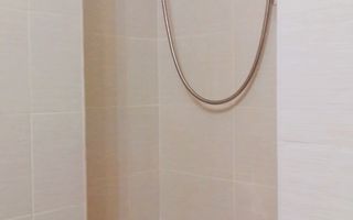 Apartament 1 Camera | 36MPU | Pet Friendly | Turnisor - Poză 8