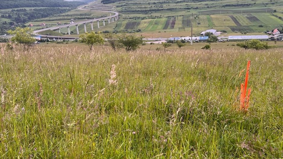 Teren in Valcele - Poză 7