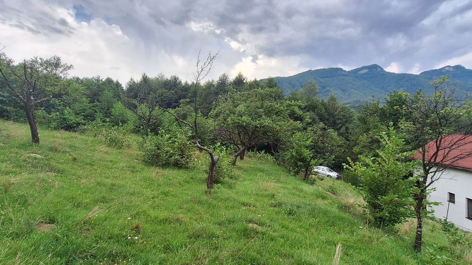 Bran-Predelut doua parcele de 2000+3000mp pret 25 euro/mp - Poză 4