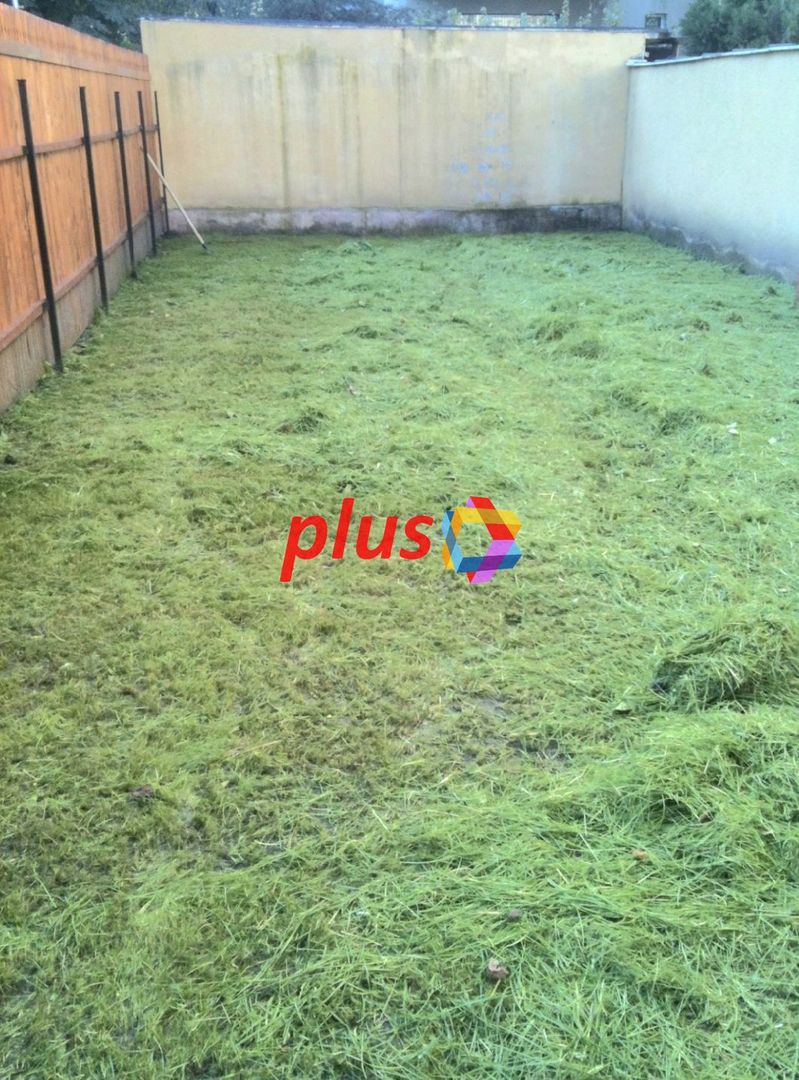 Spatiu de birouri - 450 mp # plus-imo.ro - Poză 4