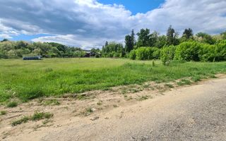 Teren intravilan Vladesti - Poză 5