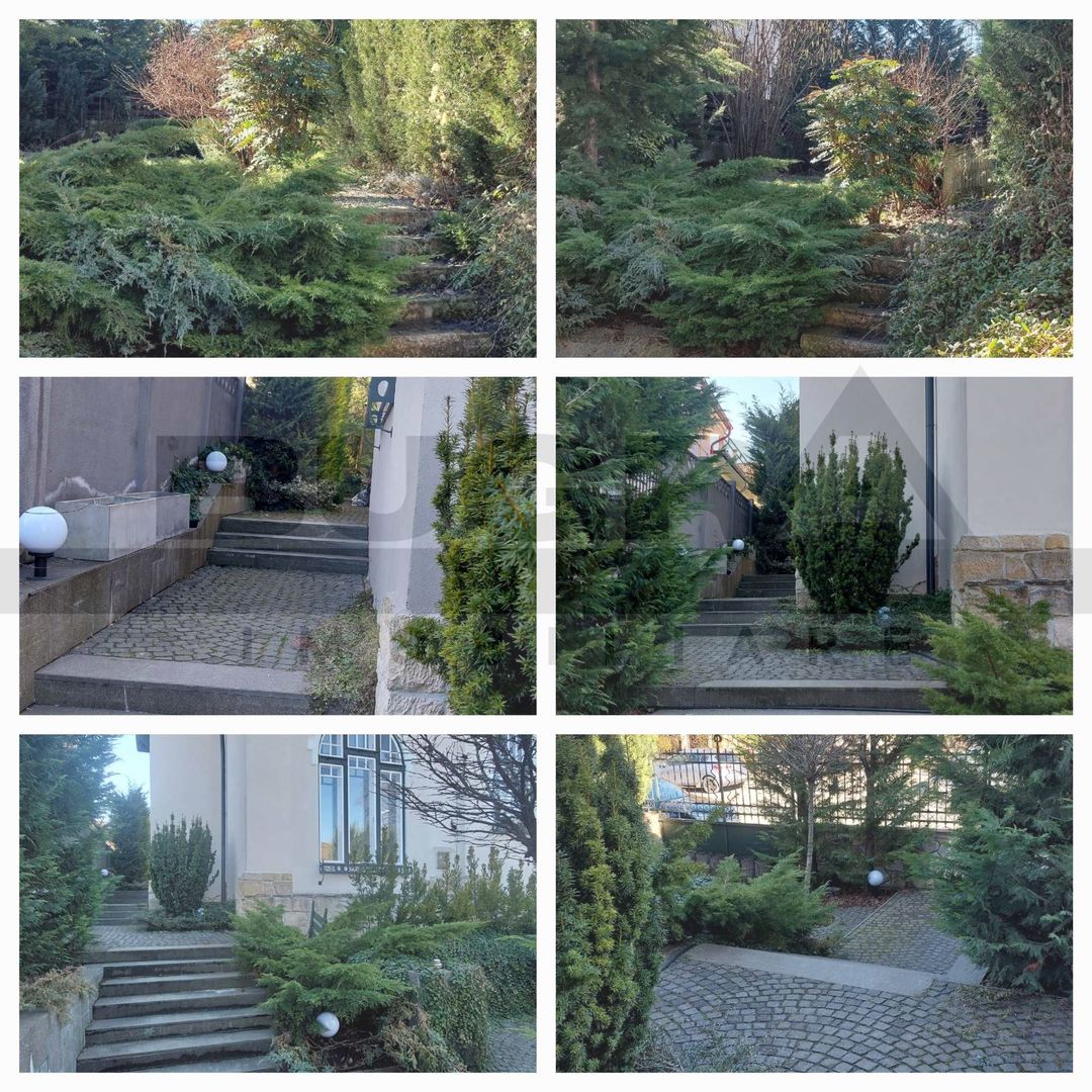 Spatiu pentru birouri, Andrei Muresanu,  185 mp, terasă și grădină - Poză 3