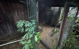 Teren și casă de vânzare în Miercurea Ciuc, zona L1u (strada Leliceni) - Poză 10