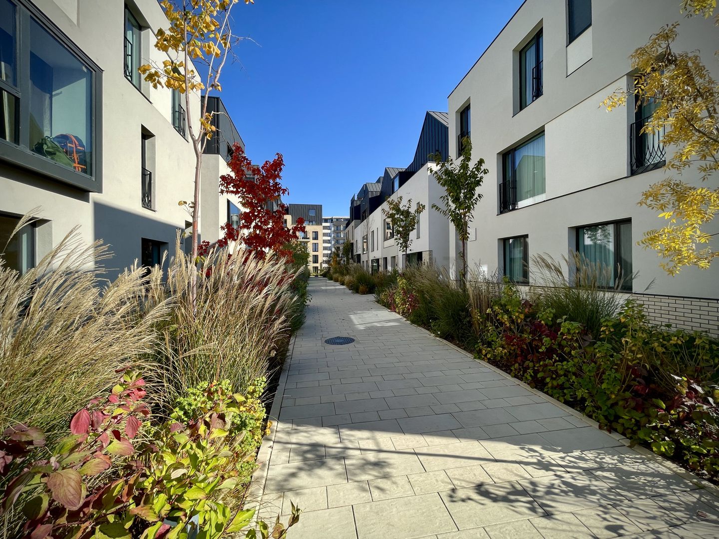 Vila 6 camere / Townhouse Avalon Estate - Poză 36