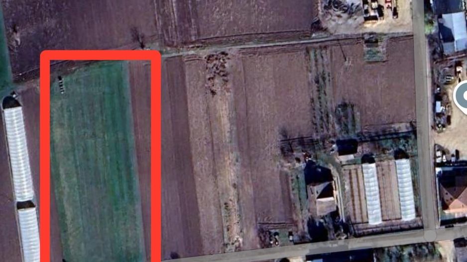 Teren intravilan in Bors - Poză 2