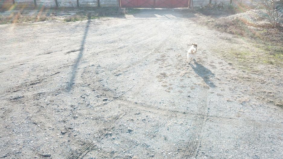 Spatiu rezidential/industrial Ortisoara - Poză 19